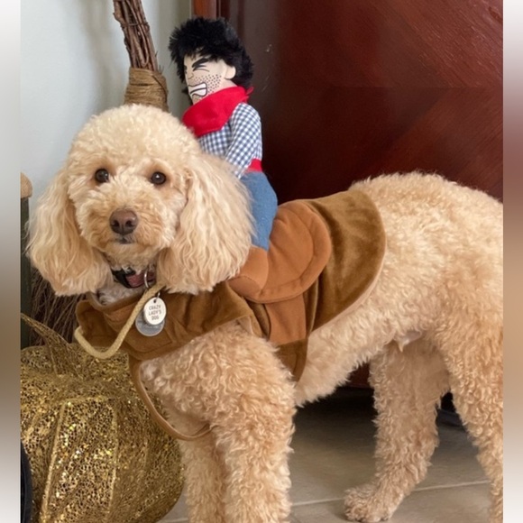 Funny Cowboy Rider Costume for Small and Medium Pets New - Picture 12 of 14